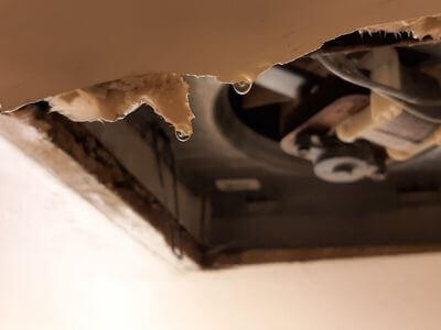 Professional flooded basement cleanup services in Mineola